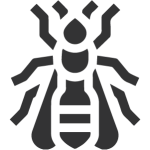 extermination de Frelons, guepes, et abeilles
