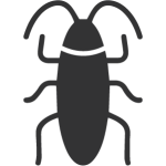 extermination de cafards blattes, et fourmis